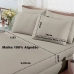 Jogo de Cama Buettner King Malha 100% Algodão Basic Liso 3 Peças Trigo
