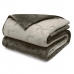 Edredom Buettner Solteiro Plush Flannel 100% Poliéster Dupla Face 160mx240m Chocolate Escuro & Chocolate Claro