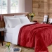 Edredom Buettner Solteiro Plush Flannel 100% Poliéster Dupla Face 160mx240m Vermelho Escuro & Vermelho Claro