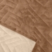 Cobertor Buettner Queen Flannel Plush 100% Poliéster Dupla Face 240mx260m Khaki Escuro / Khaki Claro