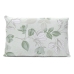 Fronha Avulsa Buettenr Malha 100% Algodão Basic Dominique Estampada 50cmx70cm Verde Musgo